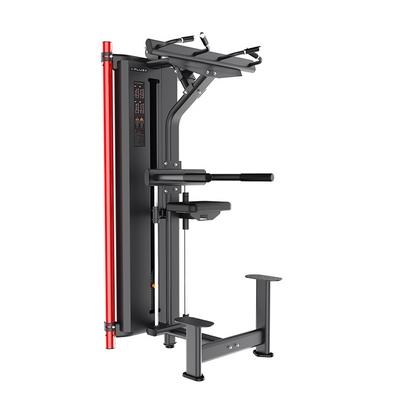 J100-11 Selectorized Chin Up and Dip Station